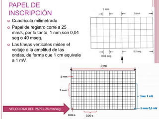 PAPEL DE
INSCRIPCIÓN






Cuadricula milimetrado
Papel de registro corre a 25
mm/s, por lo tanto, 1 mm son 0,04
seg o 40 mseg.
Las líneas verticales miden el
voltaje o la amplitud de las
ondas, de forma que 1 cm equivale
a 1 mV.

VELOCIDAD DEL PAPEL 25 mm/seg

 