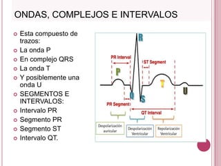 ONDAS, COMPLEJOS E INTERVALOS












Esta compuesto de
trazos:
La onda P
En complejo QRS
La onda T
Y posiblemente una
onda U
SEGMENTOS E
INTERVALOS:
Intervalo PR
Segmento PR
Segmento ST
Intervalo QT.

 