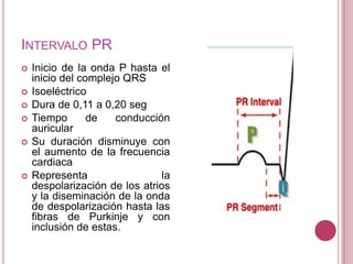 INTERVALO PR









Inicio de la onda P hasta el
inicio del complejo QRS
Isoeléctrico
Dura de 0,11 a 0,20 seg
Tiempo
de
conducción
auricular
Su duración disminuye con
el aumento de la frecuencia
cardiaca
Representa
la
despolarización de los atrios
y la diseminación de la onda
de despolarización hasta las
fibras de Purkinje y con
inclusión de estas.

 