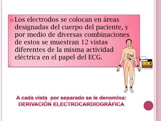  Los

electrodos se colocan en áreas
designadas del cuerpo del paciente, y
por medio de diversas combinaciones
de estos se muestran 12 vistas
diferentes de la misma actividad
eléctrica en el papel del ECG.

 