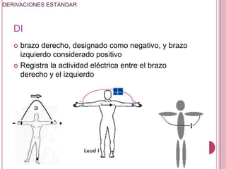 DERIVACIONES ESTÁNDAR

DI
brazo derecho, designado como negativo, y brazo
izquierdo considerado positivo
 Registra la actividad eléctrica entre el brazo
derecho y el izquierdo


 