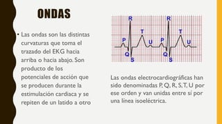 ONDAS
• Las ondas son las distintas
curvaturas que toma el
trazado del EKG hacia
arriba o hacia abajo. Son
producto de los
potenciales de acción que
se producen durante la
estimulación cardiaca y se
repiten de un latido a otro
Las ondas electrocardiográficas han
sido denominadas P, Q, R, S,T, U por
ese orden y van unidas entre sí por
una línea isoeléctrica.
 