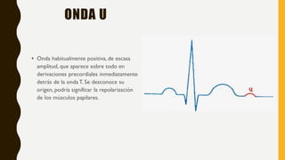 ONDA U
• Onda habitualmente positiva, de escasa
amplitud, que aparece sobre todo en
derivaciones precordiales inmediatamente
detrás de la onda T. Se desconoce su
origen, podría significar la repolarización
de los músculos papilares.
 