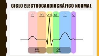 CICLO ELECTROCARDIOGRÁFICO NORMAL
 
