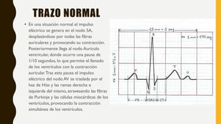 TRAZO NORMAL
• En una situación normal el impulso
eléctrico se genera en el nodo SA,
desplazándose por todas las fibras
auriculares y provocando su contracción.
Posteriormente llega al nodo Aurículo
ventricular, donde ocurre una pausa de
1/10 segundos, lo que permite el llenado
de los ventrículos con la contracción
auricular.Tras esta pausa el impulso
eléctrico del nodo AV se traslada por el
haz de Hiss y las ramas derecha e
izquierda del mismo, atravesando las fibras
de Purkinje y las células miocárdicas de los
ventrículos, provocando la contracción
simultánea de los ventrículos.
 