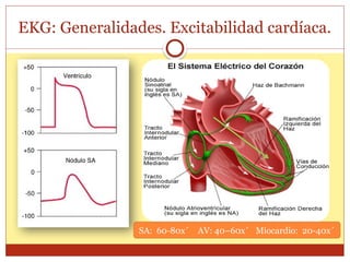 EKG: Generalidades. Excitabilidad cardíaca.
SA: 60-80x´ AV: 40–60x´ Miocardio: 20-40x´
 