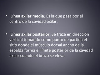• Línea axilar media. Es la que pasa por el 
centro de la cavidad axilar. 
• Línea axilar posterior. Se traza en dirección 
vertical tomando como punto de partida el 
sitio donde el músculo dorsal ancho de la 
espalda forma el límite posterior de la cavidad 
axilar cuando el brazo se eleva. 
 