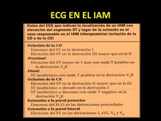 ECG EN EL IAM
 