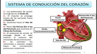 Electrocardiograma Reconocimiento de ritmos cardiacos