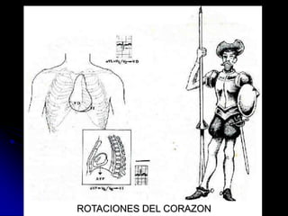 ROTACIONES DEL CORAZON