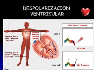 DESPOLARIZACION VENTRICULAR