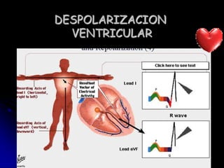 DESPOLARIZACION VENTRICULAR