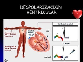 DESPOLARIZACION VENTRICULAR