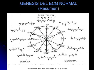 GENESIS DEL ECG NORMAL(Resumen)