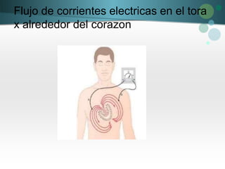 Flujo de corrientes electricas en el tora
x alrededor del corazon
 