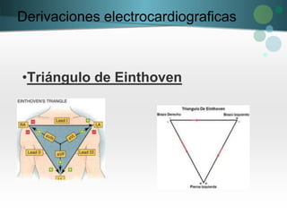 Derivaciones electrocardiograficas
•Triángulo de Einthoven
 