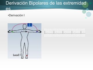 Derivación Bipolares de las extremidad
es
•Derivación I
 