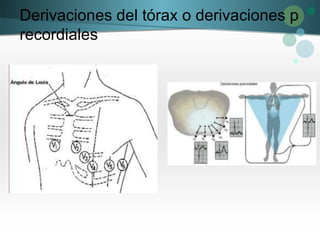 Derivaciones del tórax o derivaciones p
recordiales
 