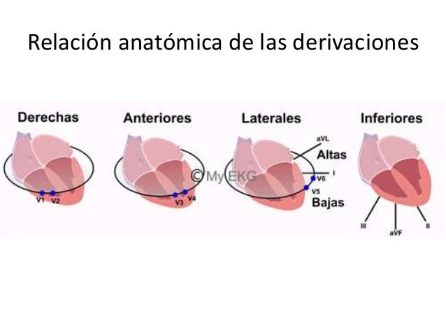 Electrocardiograma normal 2015