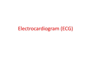 Electrocardiogram (ECG)
 