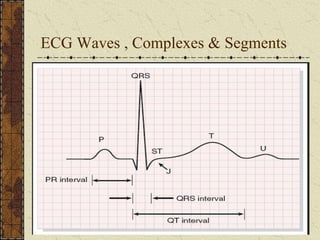 Electrocardiogram(ecg) | PPT