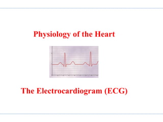Physiology of the Heart
The Electrocardiogram (ECG)
 
