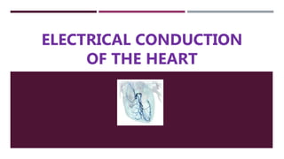 2
ELECTRICAL CONDUCTION
OF THE HEART
 