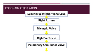 CORONARY CIRCULATION
Superior & Inferior Vena Cava
Right Atrium
Tricuspid Valve
Right Ventricle
Pulmonary Semi-lunar Valve
 