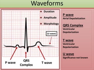 Waveforms
P wave
Atrial Depolatization
QRS Complex
Ventricular
Depolarization
T wave
Ventricular
Repolarization
U wave
Significance not known
 