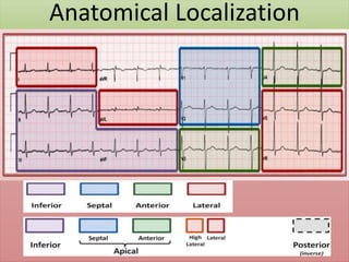 Anatomical Localization
 