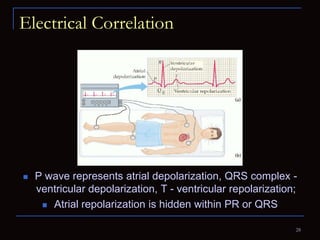 Electrocardiography for Students