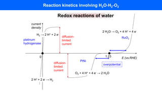 Electrochemical Characterization of Electrocatalysts .pptx