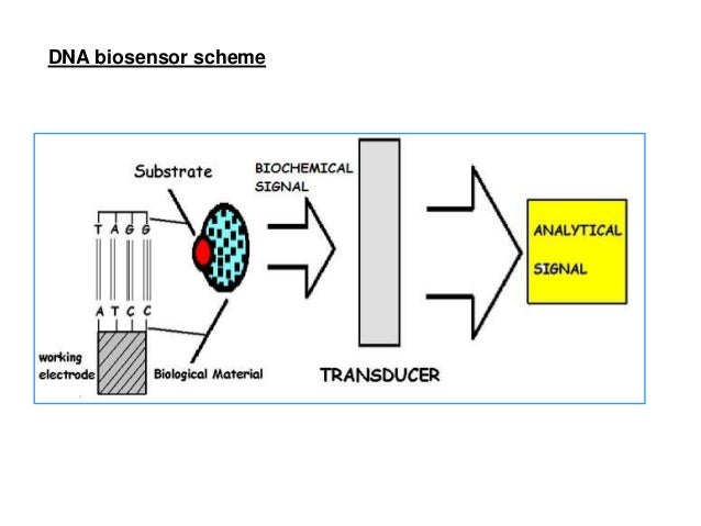university for english basic Electrochemical sensor university for english basic Electrochemical sensor