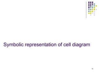 Symbolic representation of cell diagram



                                          14
 