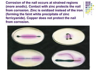 Corrosion of the nail occurs at strained regions
(more anodic). Contact with zinc protects the nail
from corrosion. Zinc is oxidized instead of the iron
(forming the faint white precipitate of zinc
ferricyanide). Copper does not protect the nail
from corrosion.




                                                       42
 