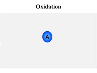 Oxidation
 