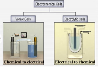 Chemical to electrical Electrical to chemical
 