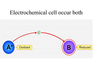 Electrochemical cell occur both
 