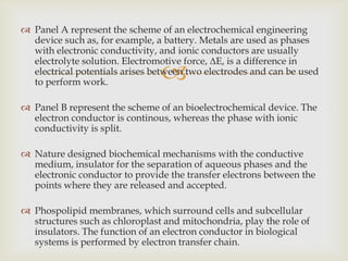 Electrochemistry and the processes of energy conversion in | PPTX