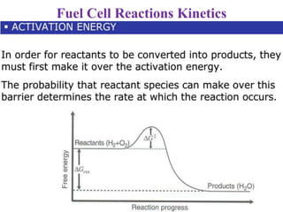 Fuel Cell Reactions Kinetics
 