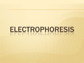 ELECTROPHORESIS
 