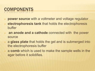 COMPONENTS
   power source with a voltmeter and voltage regulator
   electrophoresis tank that holds the electrophoresis
    buffer
    an anode and a cathode connected with the power
    source
   a glass plate that holds the gel and is submerged into
    the electrophoresis buffer
   a comb which is used to make the sample wells in the
    agar before it solidifies.
 