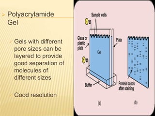    Polyacrylamide
    Gel

       Gels with different
        pore sizes can be
        layered to provide
        good separation of
        molecules of
        different sizes

       Good resolution
 