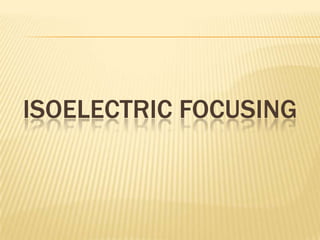 ISOELECTRIC FOCUSING
 