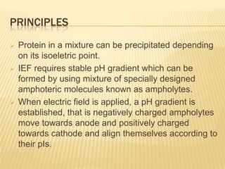 PRINCIPLES
   Protein in a mixture can be precipitated depending
    on its isoeletric point.
   IEF requires stable pH gradient which can be
    formed by using mixture of specially designed
    amphoteric molecules known as ampholytes.
   When electric field is applied, a pH gradient is
    established, that is negatively charged ampholytes
    move towards anode and positively charged
    towards cathode and align themselves according to
    their pIs.
 