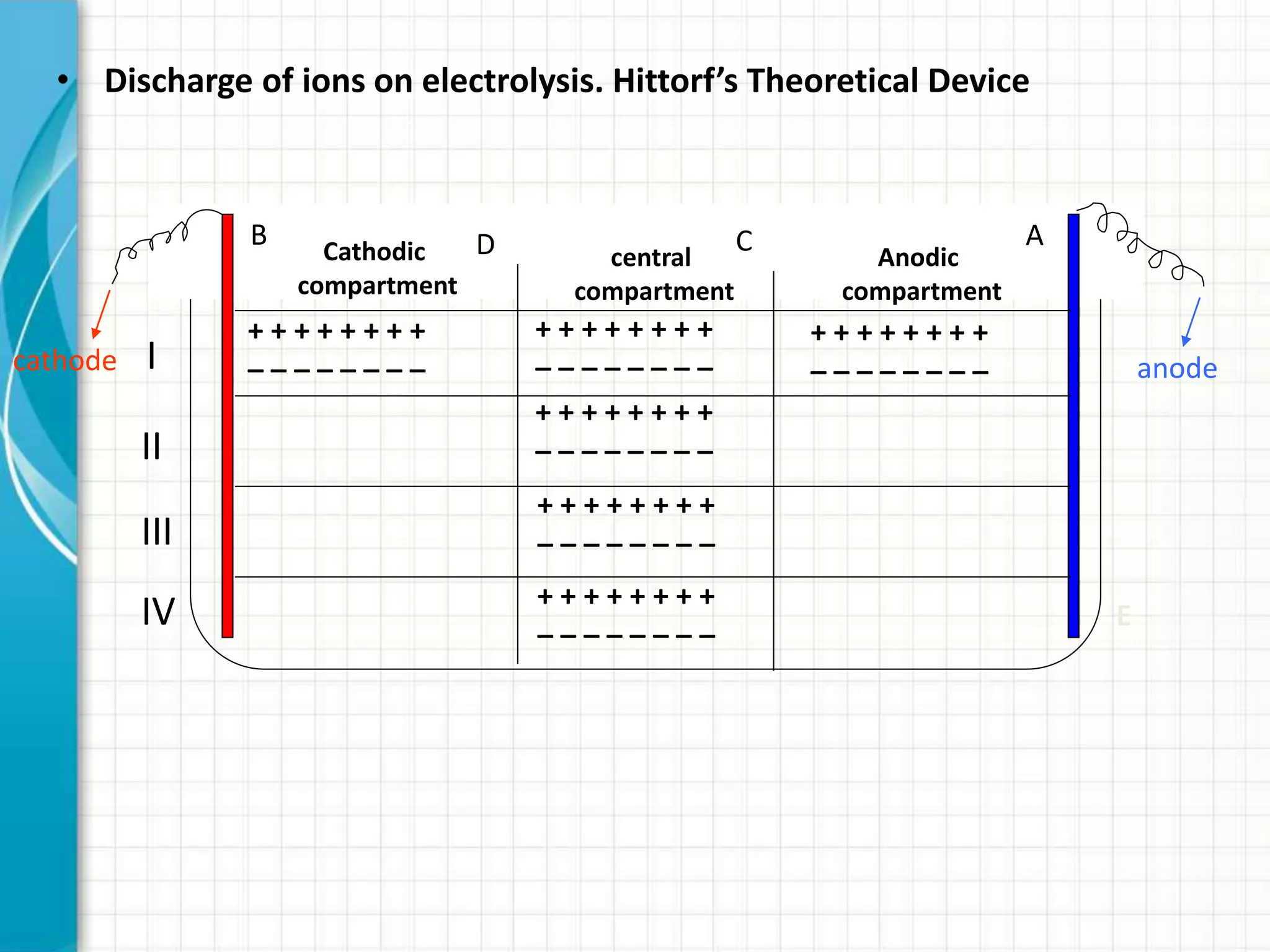 • Discharge of ions on electrolysis. Hittorf’s Theoretical Device
+ + + + + + + +
_ _ _ _ _ _ _ _
+ + + + + + + +
_ _ _ _ _ _ _ _
+ + + + + + + +
_ _ _ _ _ _ _ _
II
I
III
IV
+ + + + + + + +
_ _ _ _ _ _ _ _
+ + + + + + + +
_ _ _ _ _ _ _ _
+ + + + + + + +
_ _ _ _ _ _ _ _
ACDB Cathodic
compartment
central
compartment
Anodic
compartment
cathode anode
E
 