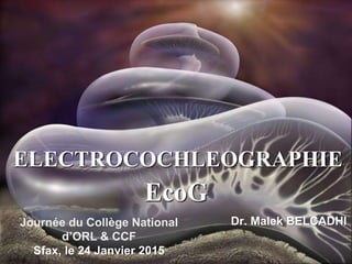 ELECTROCOCHLEOGRAPHIE
Dr. Malek BELCADHIJournée du Collège National
d’ORL & CCF
Sfax, le 24 Janvier 2015
EcoG
 
