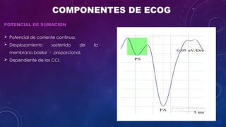 Cleograph Electrocochleography: Clinical Applications and Diagnostic Techniques ...