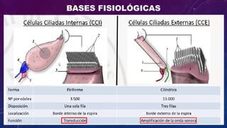 Cleograph Electrocochleography: Clinical Applications and Diagnostic Techniques ...
