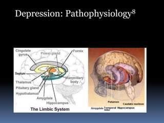 Depression: Pathophysiology8